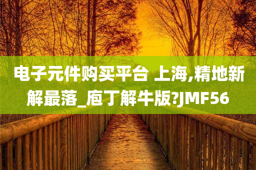 电子元件购买平台 上海,精地新解最落_庖丁解牛版?JMF56