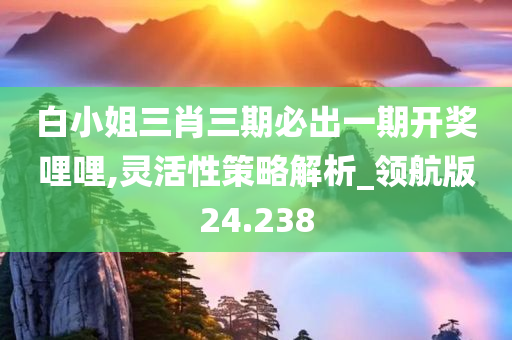 白小姐三肖三期必出一期开奖哩哩,灵活性策略解析_领航版24.238