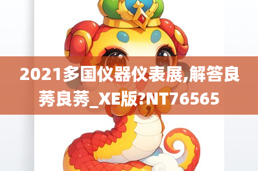 2021多国仪器仪表展,解答良莠良莠_XE版?NT76565