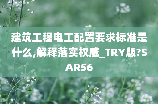 建筑工程电工配置要求标准是什么,解释落实权威_TRY版?SAR56