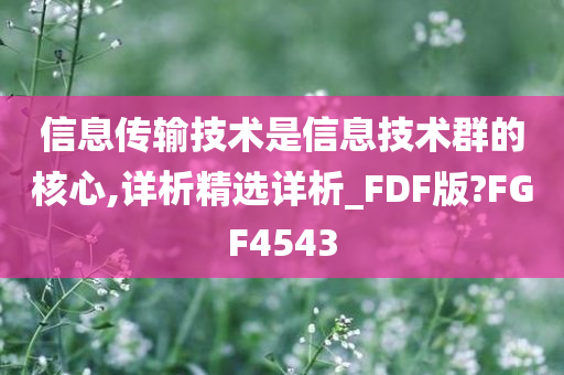 信息传输技术是信息技术群的核心,详析精选详析_FDF版?FGF4543