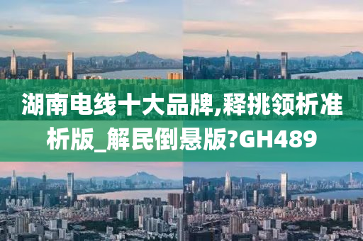 湖南电线十大品牌,释挑领析准析版_解民倒悬版?GH489