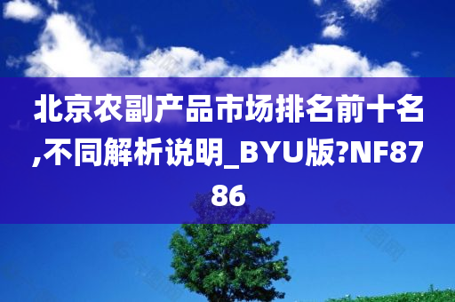 北京农副产品市场排名前十名,不同解析说明_BYU版?NF8786