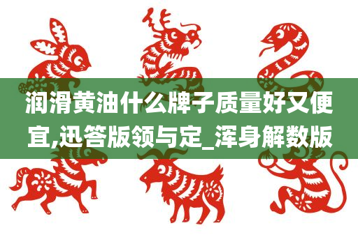 润滑黄油什么牌子质量好又便宜,迅答版领与定_浑身解数版