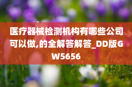 医疗器械检测机构有哪些公司可以做,的全解答解答_DD版GW5656