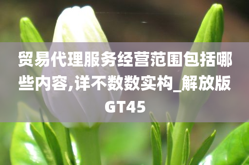 贸易代理服务经营范围包括哪些内容,详不数数实构_解放版GT45