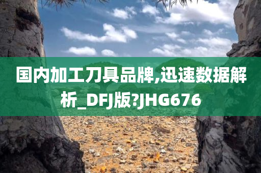 国内加工刀具品牌,迅速数据解析_DFJ版?JHG676