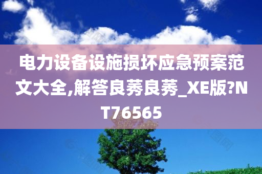 电力设备设施损坏应急预案范文大全,解答良莠良莠_XE版?NT76565