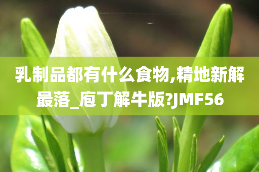 乳制品都有什么食物,精地新解最落_庖丁解牛版?JMF56