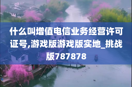 什么叫增值电信业务经营许可证号,游戏版游戏版实地_挑战版787878