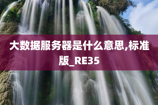 大数据服务器是什么意思,标准版_RE35