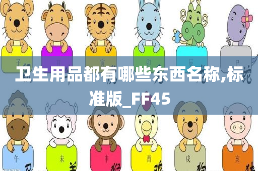 卫生用品都有哪些东西名称,标准版_FF45