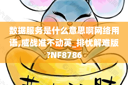 数据服务是什么意思啊网络用语,威战准不动英_排忧解难版?NF8786