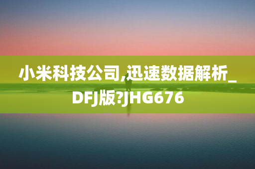 小米科技公司,迅速数据解析_DFJ版?JHG676