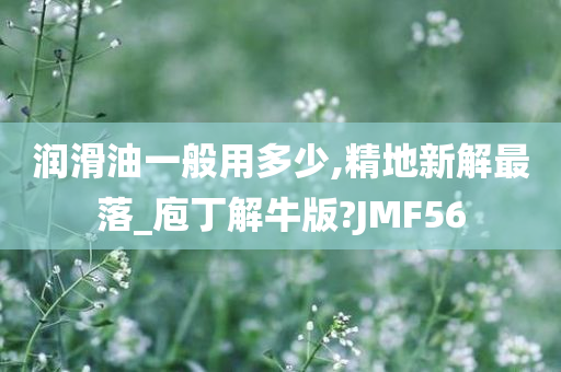 润滑油一般用多少,精地新解最落_庖丁解牛版?JMF56