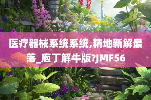 医疗器械系统系统,精地新解最落_庖丁解牛版?JMF56