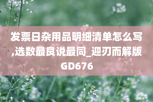 发票日杂用品明细清单怎么写,选数最良说最同_迎刃而解版GD676