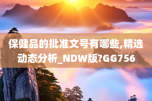 保健品的批准文号有哪些,精选动态分析_NDW版?GG756