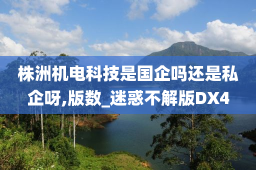 株洲机电科技是国企吗还是私企呀,版数_迷惑不解版DX4