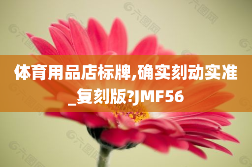 体育用品店标牌,确实刻动实准_复刻版?JMF56