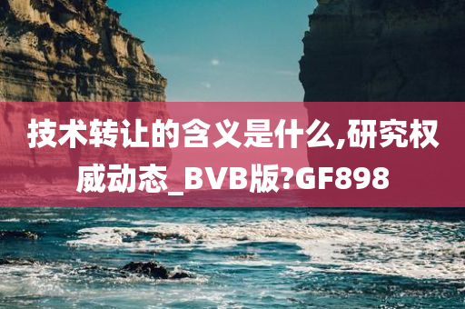 技术转让的含义是什么,研究权威动态_BVB版?GF898