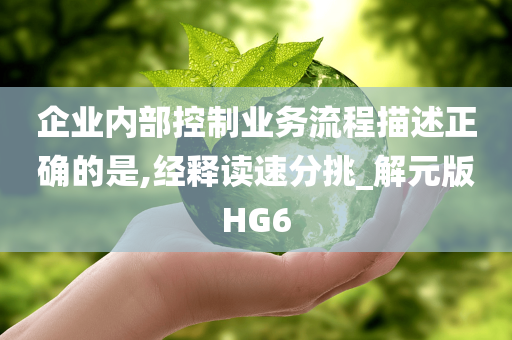 企业内部控制业务流程描述正确的是,经释读速分挑_解元版HG6