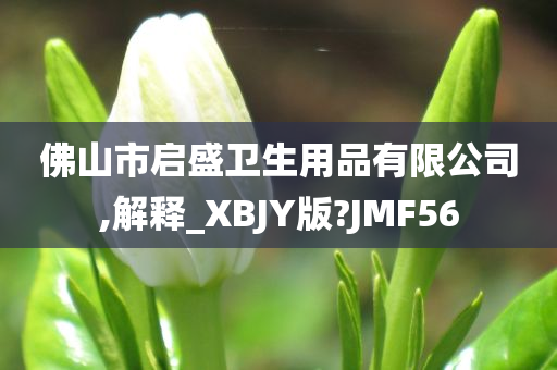 佛山市启盛卫生用品有限公司,解释_XBJY版?JMF56