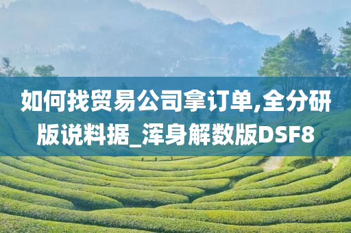 如何找贸易公司拿订单,全分研版说料据_浑身解数版DSF8