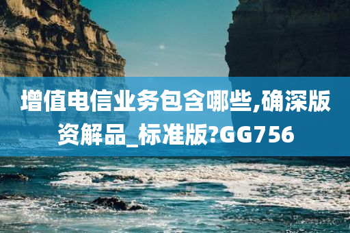 增值电信业务包含哪些,确深版资解品_标准版?GG756