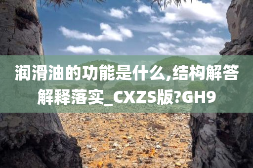 润滑油的功能是什么,结构解答解释落实_CXZS版?GH9