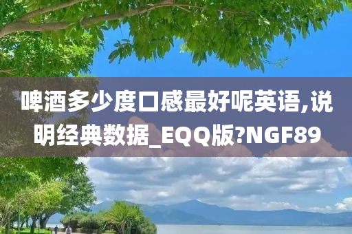 啤酒多少度口感最好呢英语,说明经典数据_EQQ版?NGF89