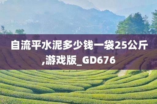 自流平水泥多少钱一袋25公斤,游戏版_GD676