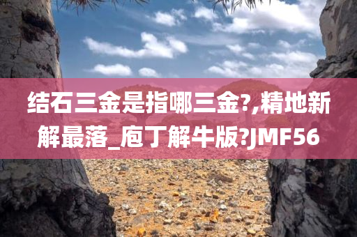 结石三金是指哪三金?,精地新解最落_庖丁解牛版?JMF56