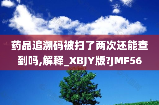 药品追溯码被扫了两次还能查到吗,解释_XBJY版?JMF56