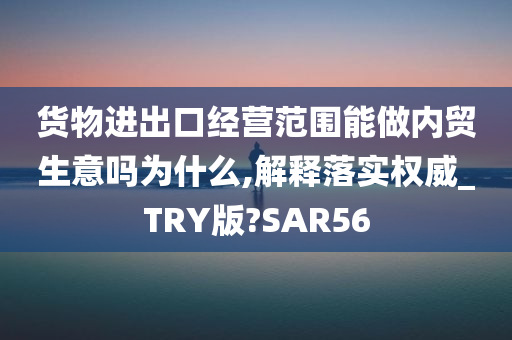 货物进出口经营范围能做内贸生意吗为什么,解释落实权威_TRY版?SAR56