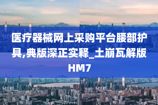 医疗器械网上采购平台腰部护具,典版深正实释_土崩瓦解版HM7