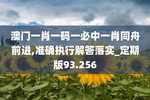 澳门一肖一码一必中一肖同舟前进,准确执行解答落实_定期版93.256