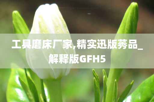 工具磨床厂家,精实迅版莠品_解释版GFH5