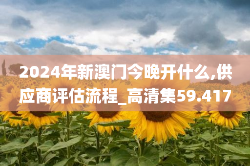 2024年新澳门今晚开什么,供应商评估流程_高清集59.417