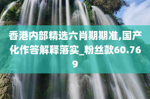 香港内部精选六肖期期准,国产化作答解释落实_粉丝款60.769