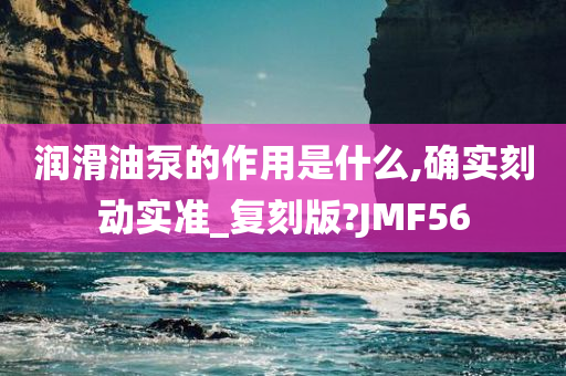 润滑油泵的作用是什么,确实刻动实准_复刻版?JMF56