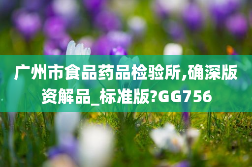 广州市食品药品检验所,确深版资解品_标准版?GG756