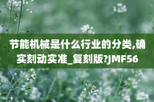 节能机械是什么行业的分类,确实刻动实准_复刻版?JMF56