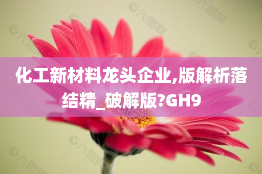 化工新材料龙头企业,版解析落结精_破解版?GH9