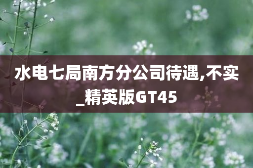 水电七局南方分公司待遇,不实_精英版GT45