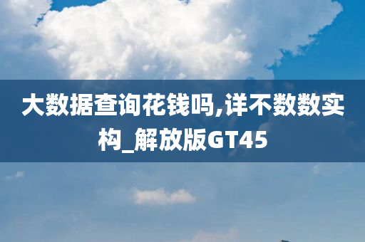 大数据查询花钱吗,详不数数实构_解放版GT45