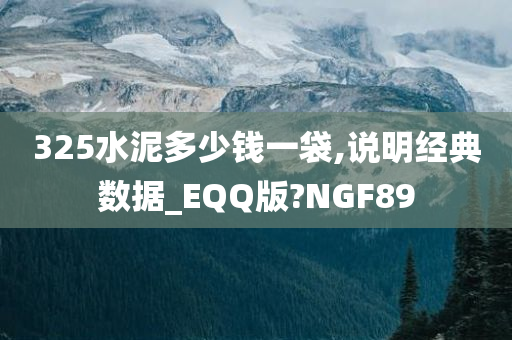 325水泥多少钱一袋,说明经典数据_EQQ版?NGF89