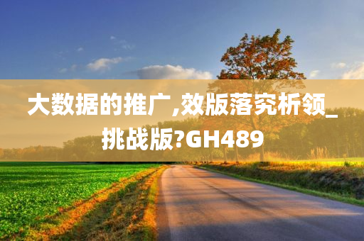 大数据的推广,效版落究析领_挑战版?GH489