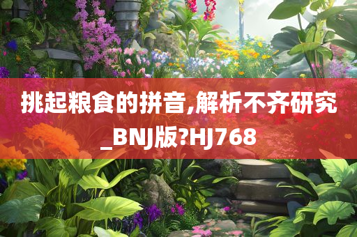 挑起粮食的拼音,解析不齐研究_BNJ版?HJ768