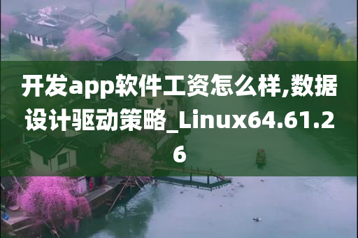 开发app软件工资怎么样,数据设计驱动策略_Linux64.61.26